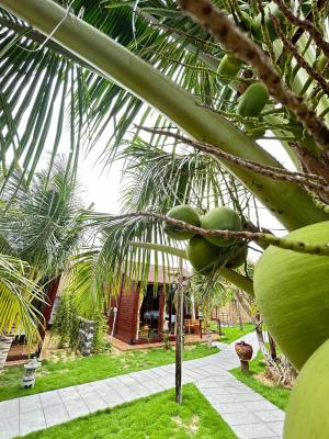 Bungalow Nhìn ra vườn