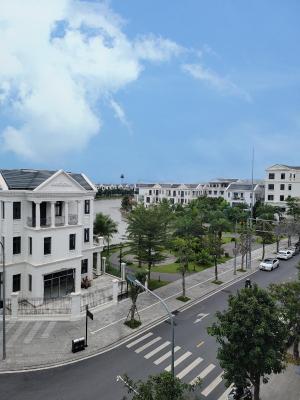 Studio Có Giường Cỡ King