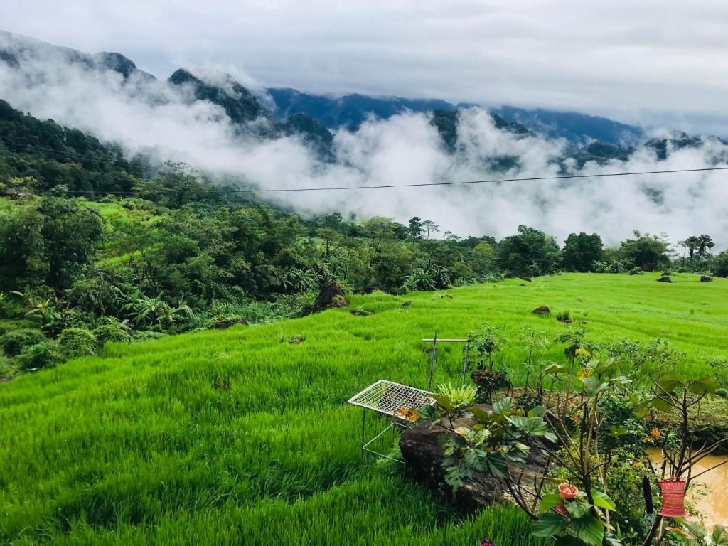 Giường Tầng Trong Phòng Ngủ Tập Thể Cho Nam Và Nữ