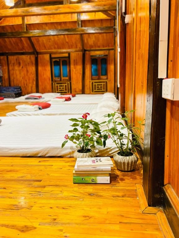 Giường Đơn Trong Phòng Nghỉ Tập Thể Cho Cả Nam Và Nữ