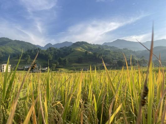 Phòng Ngủ Tập Thể Cho Cả Nam Và Nữ