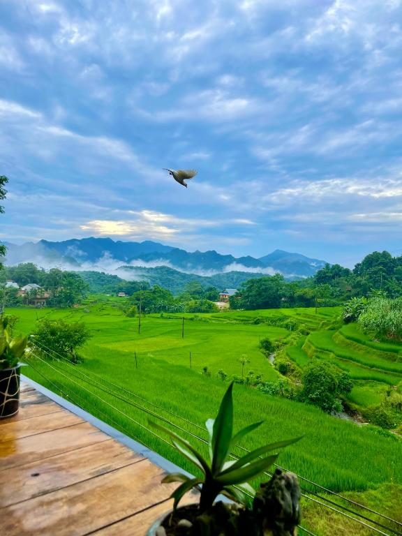 Phòng Giường Đôi