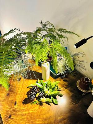 Phòng 2 Giường Đơn Nhìn Ra Núi