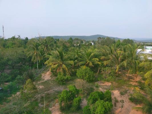 Phòng Giường Đôi