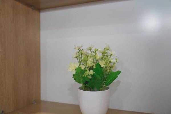 Căn Hộ 1 Phòng Ngủ