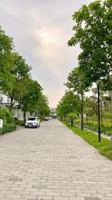 Phòng 3 Người Nhìn Ra Vườn