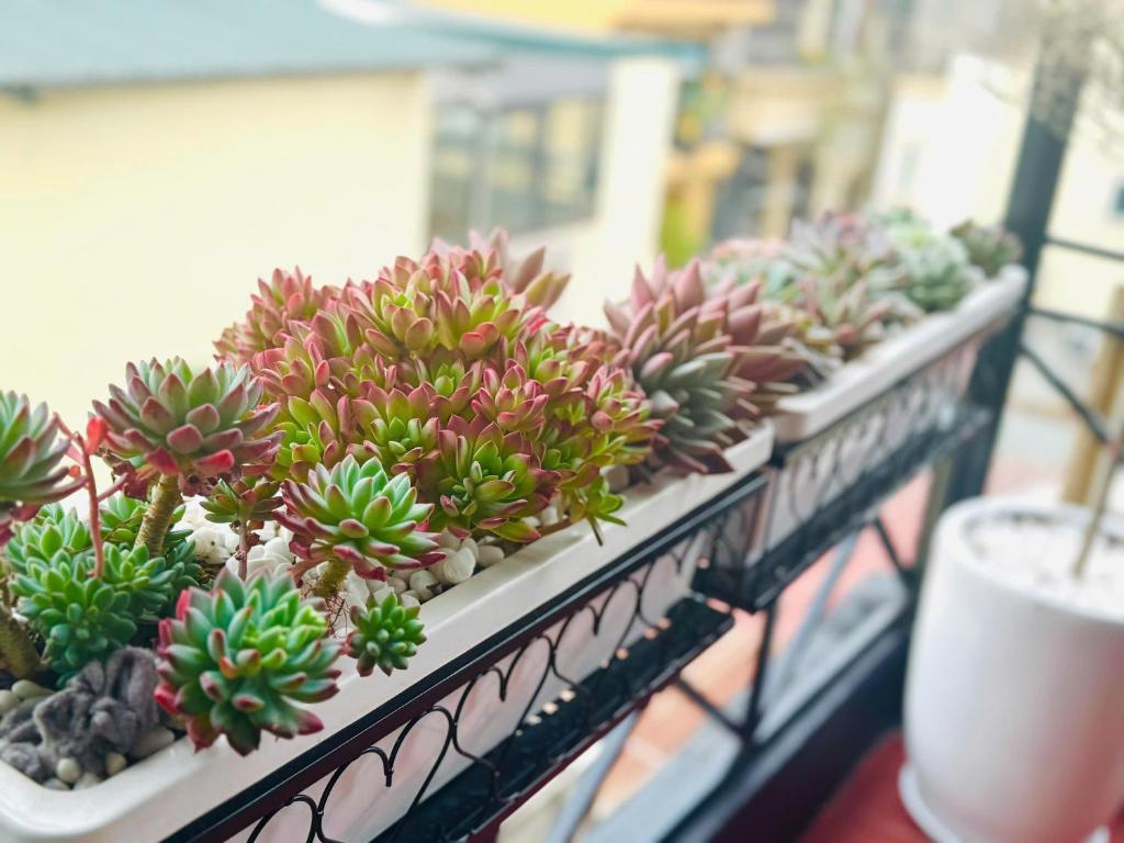 Căn hộ 3 tầng 2 phòng ngủ