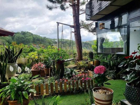 Phòng Deluxe Giường Đôi