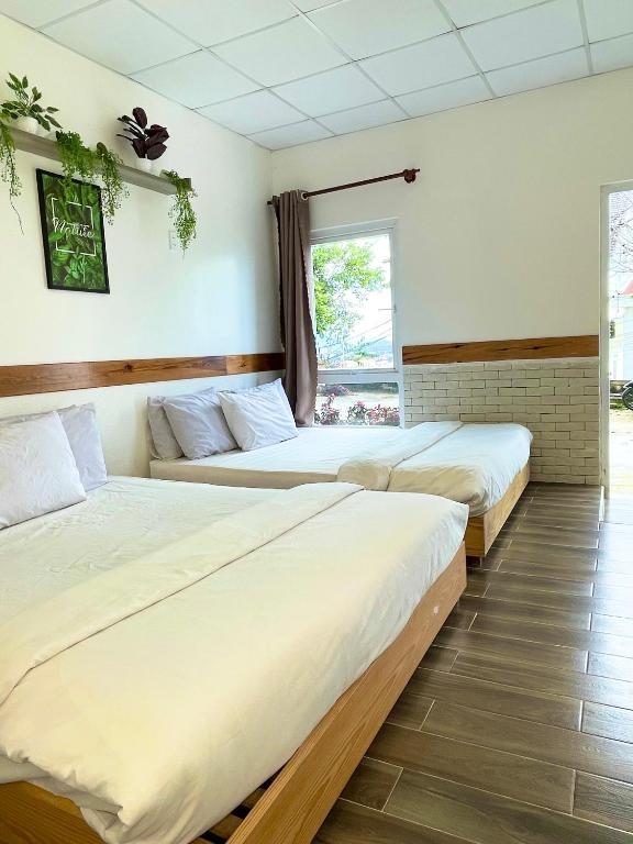 Biệt Thự Deluxe