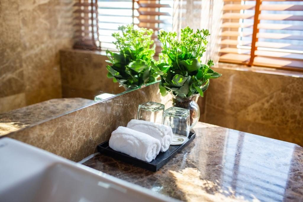 Suite Có Giường Cỡ King