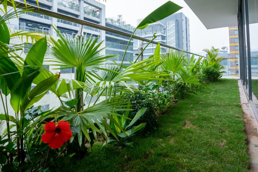 Suite có giường cỡ King với ban công