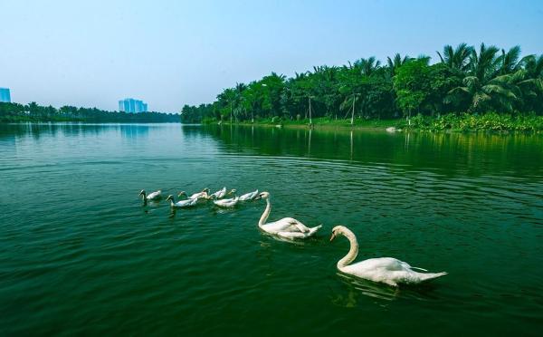Căn Hộ 1 Phòng Ngủ